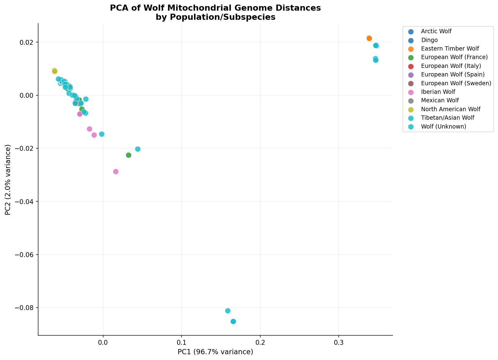 PCA of wolf mitochondrial genome distances