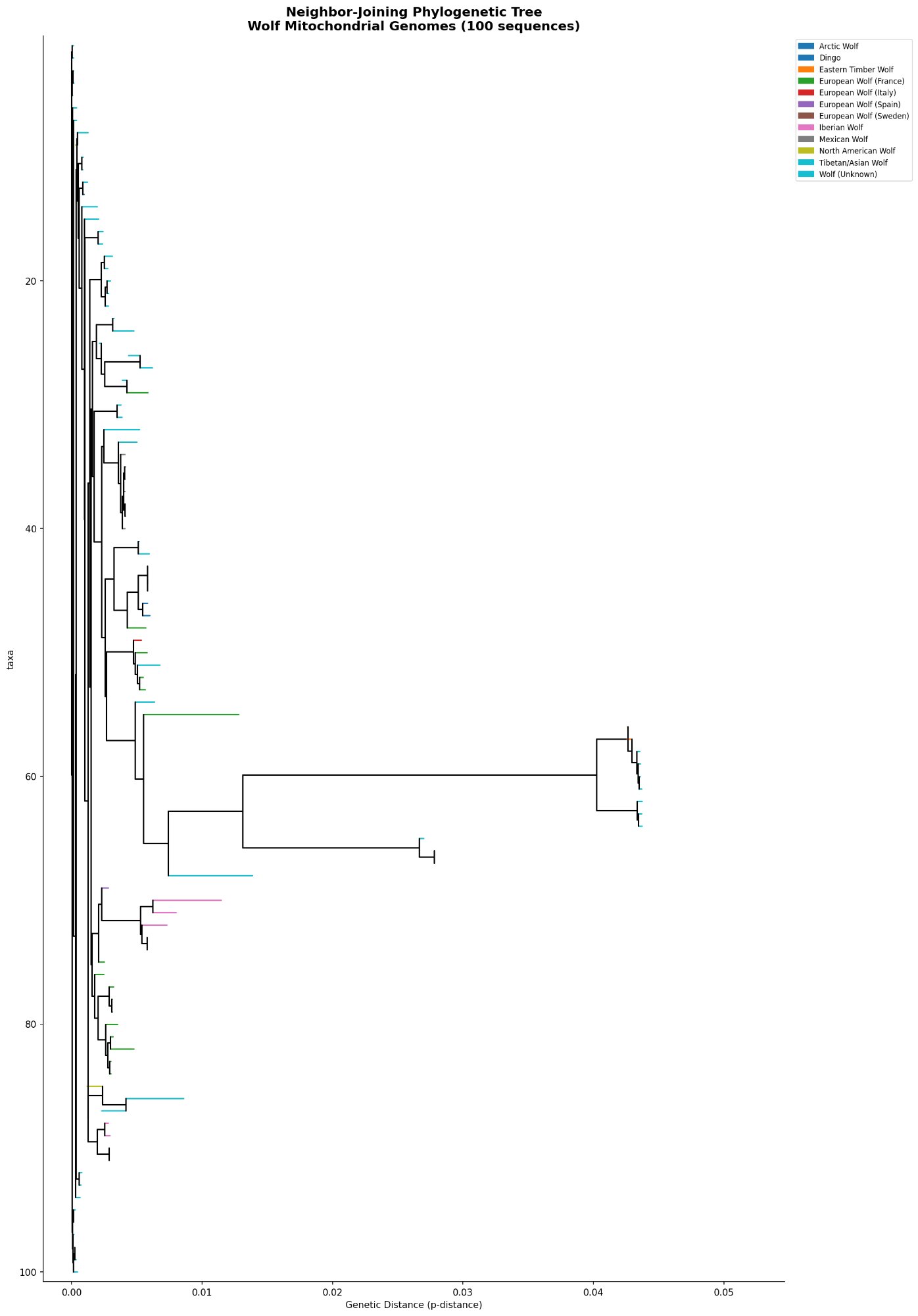 Neighbor-joining phylogenetic tree of 100 wolf mitochondrial genomes