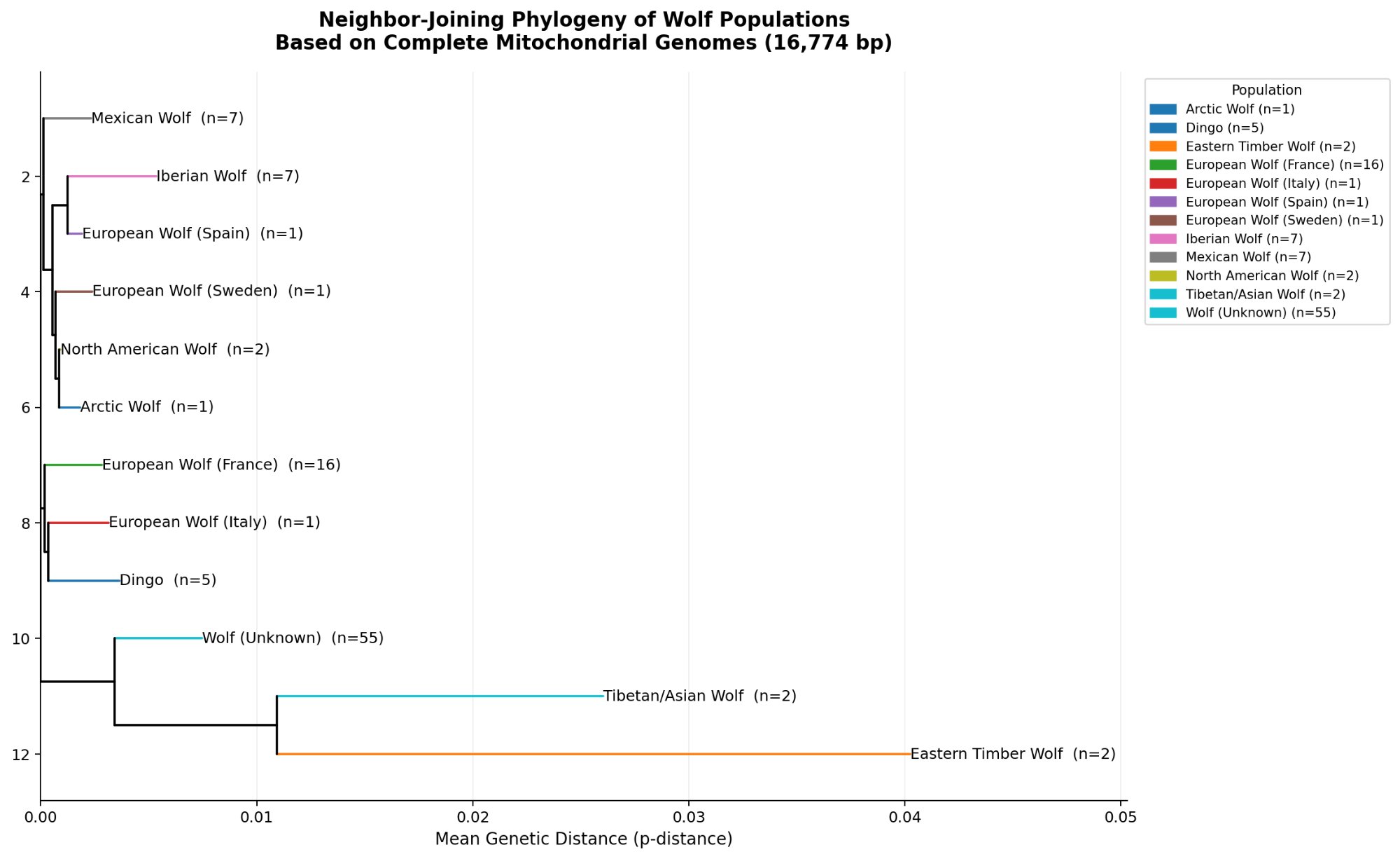 Population-level neighbor-joining phylogeny of wolf subspecies